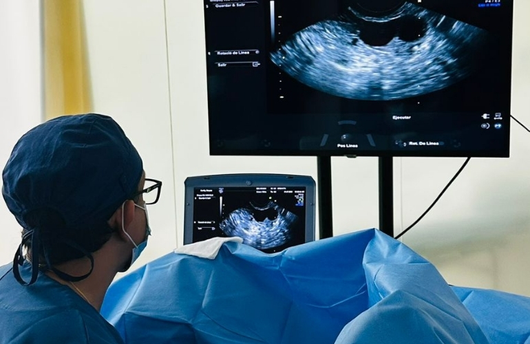 fertilidad plasma rico en plaquetas prp intraovarico
