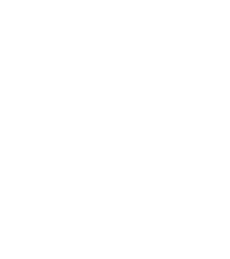 logo cenmer